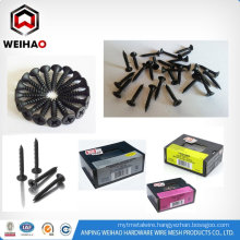 Phillips head drywall screw and black drywall screw on sale in China